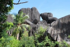 Natura primordiale isole Seychelles